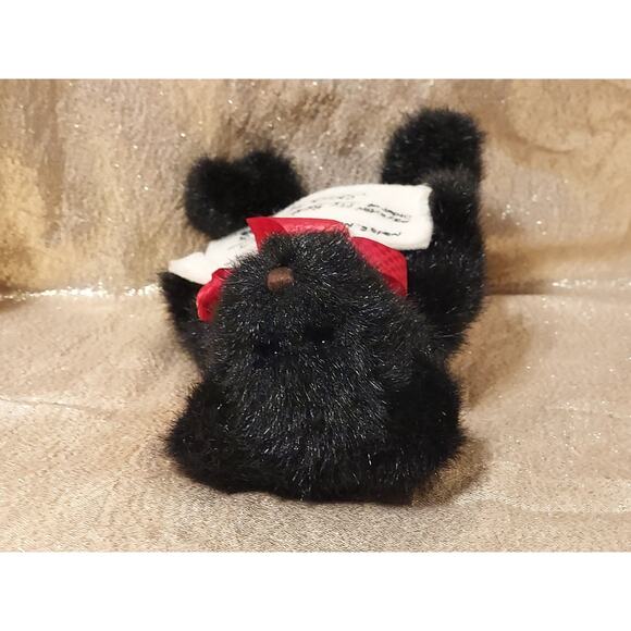 Vintage Boyds Bears Razz Bearies N.S.F. Nada E. Nuff Reality Check Bounced 2003 - Picture 4 of 11